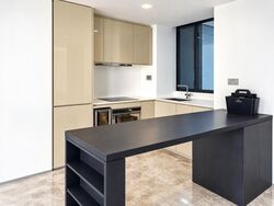 Skysuites@Anson (D2), Apartment #620235391